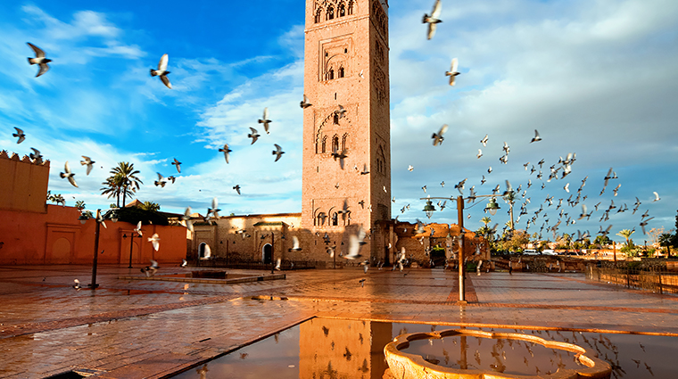 best travel guide for marrakech