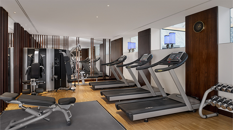 al habtoor palace budapest spa gym