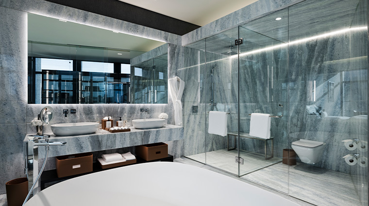 alexander hotel bathroom