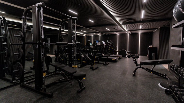 alexander hotel gym 2