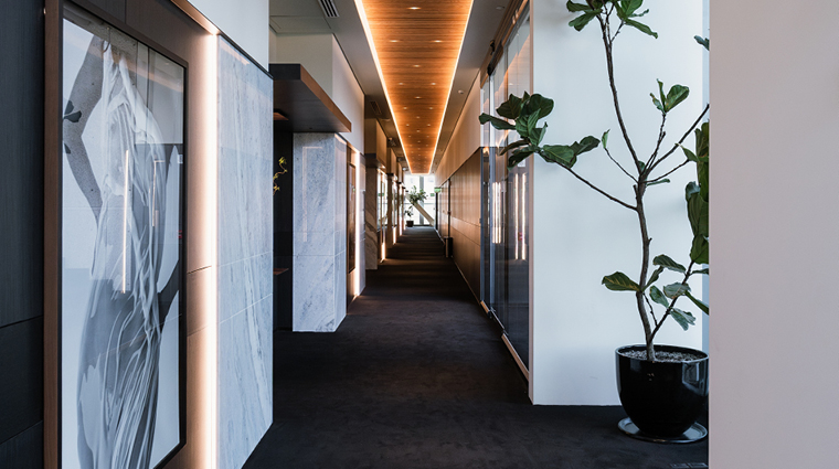 alexander hotel hallway rooms