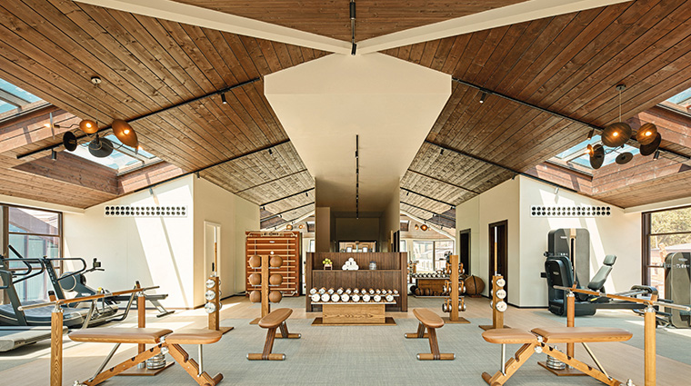 aliee istanbul fitness well active