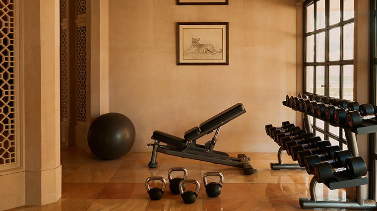 amanbagh wellness gym interior