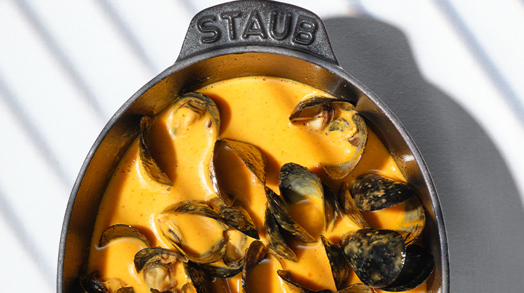 aqueous mussels