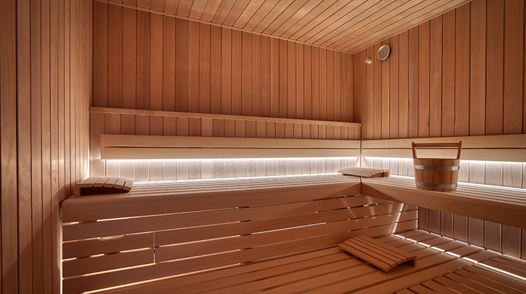 aurora spa dry sauna