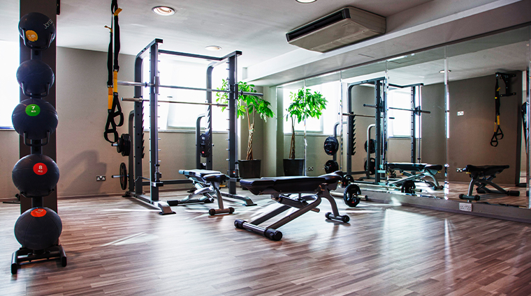 ax the palace fitness room