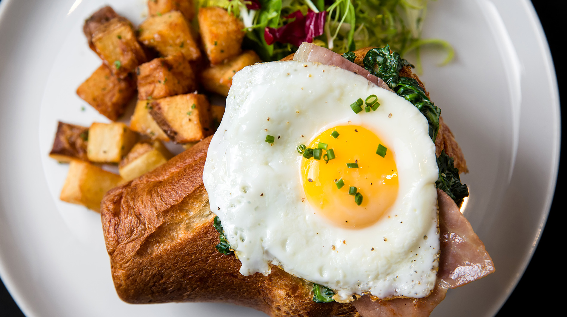 BLT Steak Charlotte Restaurants Charlotte, United States Forbes