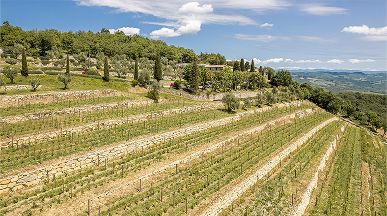 borgo vescine field