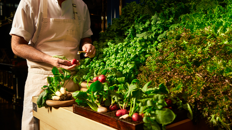 butchers block farm produce