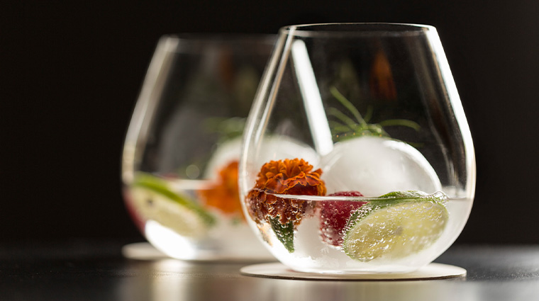 capa gin and tonic