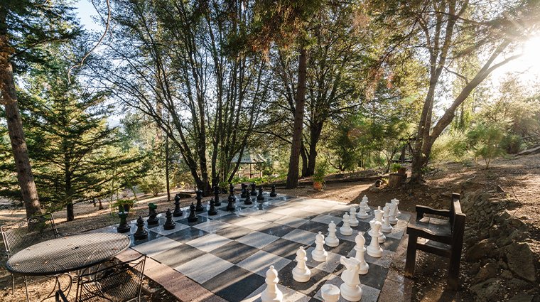chateau du sureau large chess