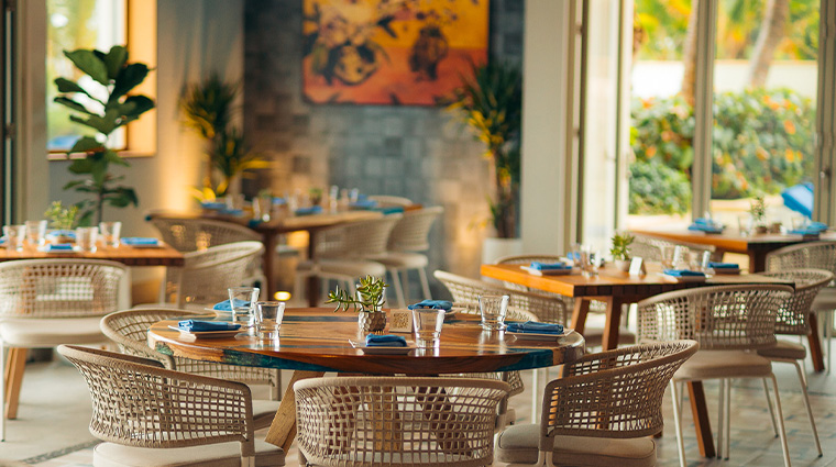 condado vanderbilt hotel tacos and tequilas