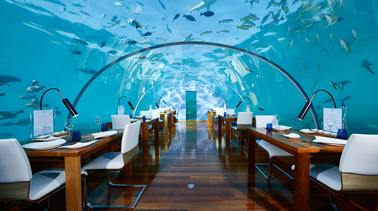conrad maldives rangali island finolhu island pool ithaa undersea restaurant