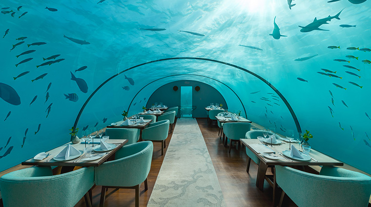 conrad maldives rangali island undersea restaurant