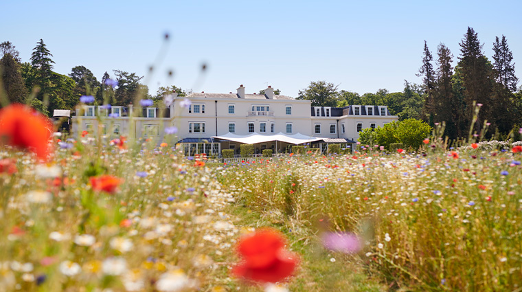 coworth park summer meadow