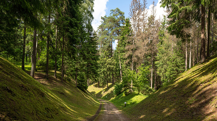 esperanza lake resort Private forest