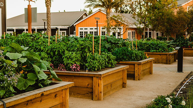 farm restaurant garden