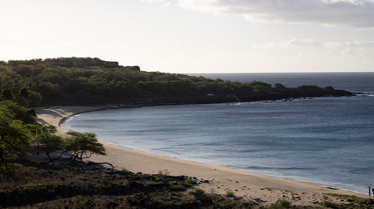 14four seasons resort lanai hulopo'e beach