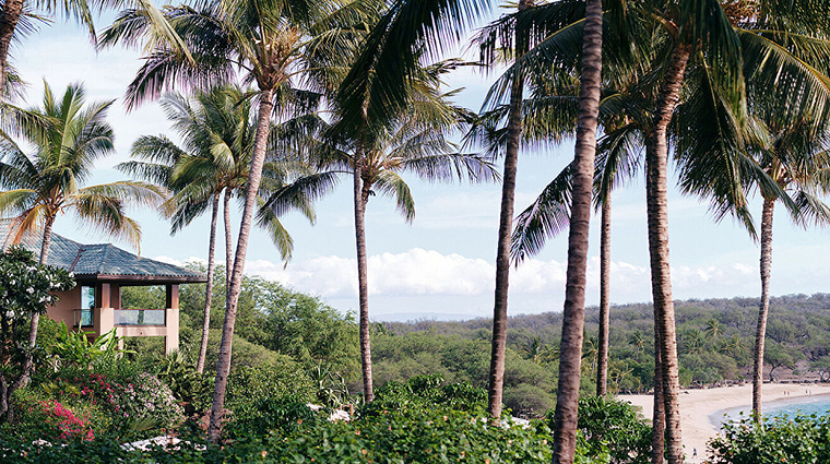 four seasons resort lanai resort trees