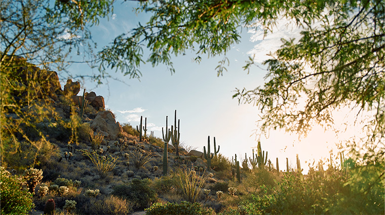 four seasons resort scottsdale at troon north grounds2