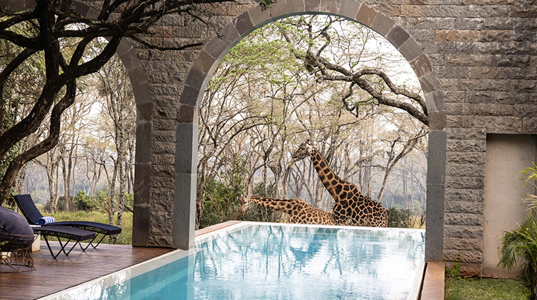Giraffe Manor Swimming Pool