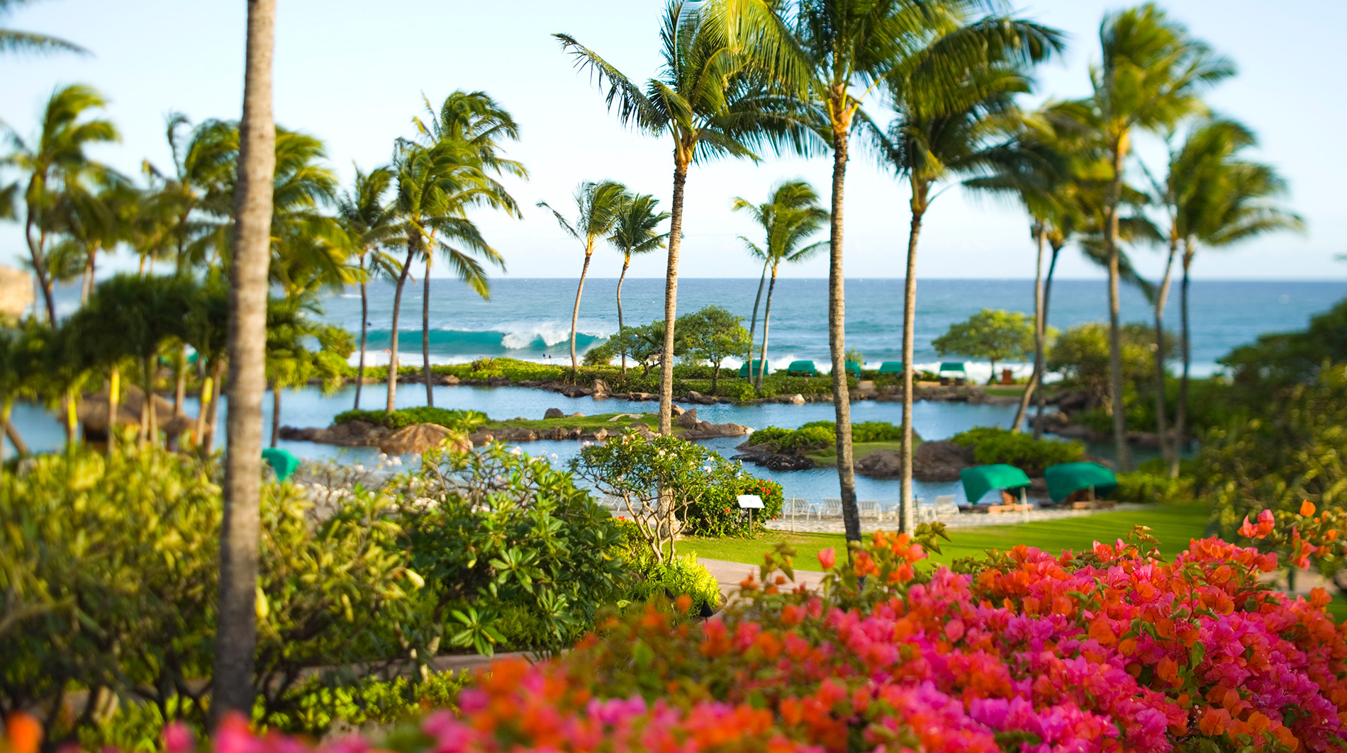 Grand Hyatt Kauai Resort And Spa - Kauai Hotels - Koloa, United States ...