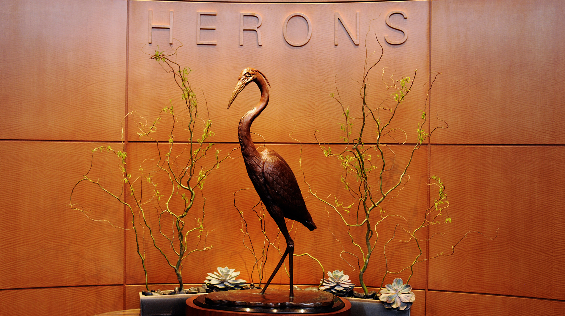 Herons - Raleigh-Durham Restaurants - Cary, United States - Forbes ...