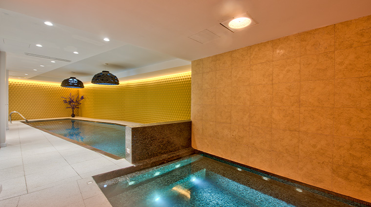 holm boutique spa indoor pool jacuzzi