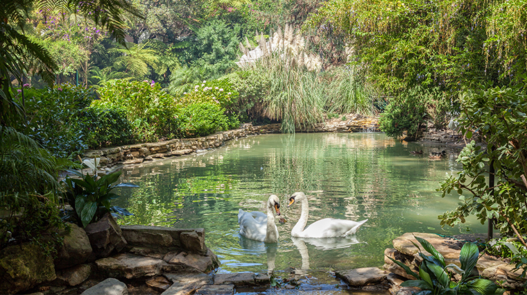 hotel bel air swan lake