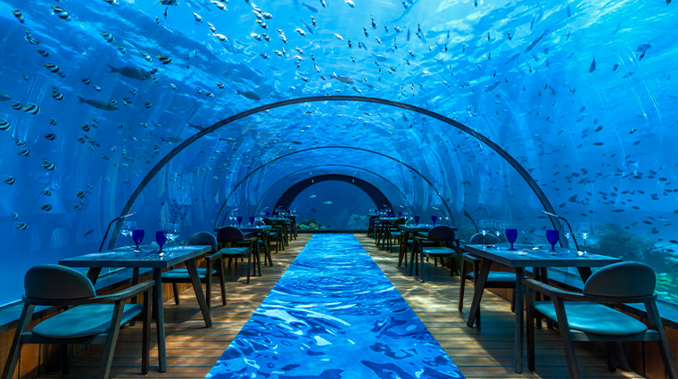 hurawalhi island resort undersea restaurant