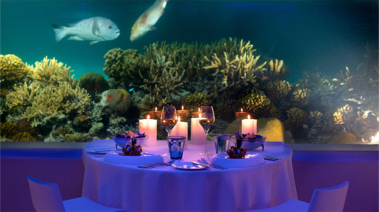 huvafen fushi underwater dining