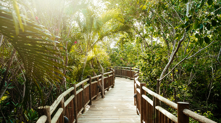 jungala park hotel at vidantaworld riviera maya pathways