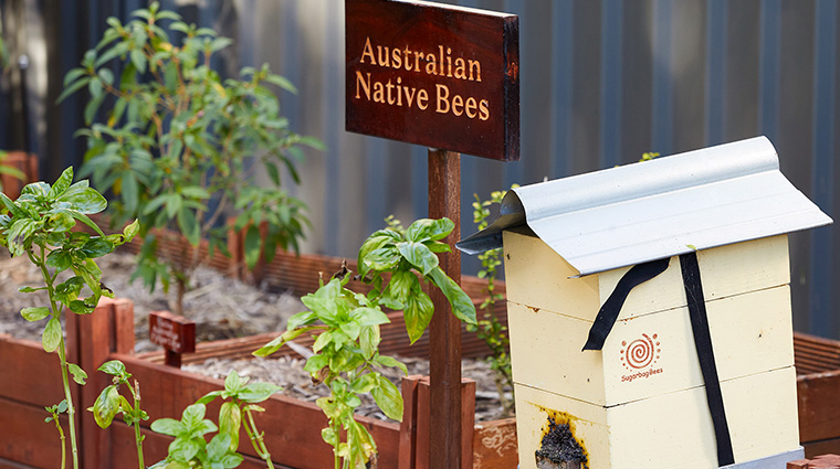jw marriott gold coast resort and spa garden bee hive