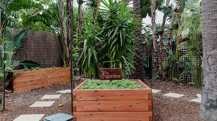 jw marriott gold coast resort and spa garden