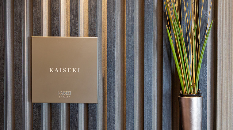 kaiseki silver nova details2