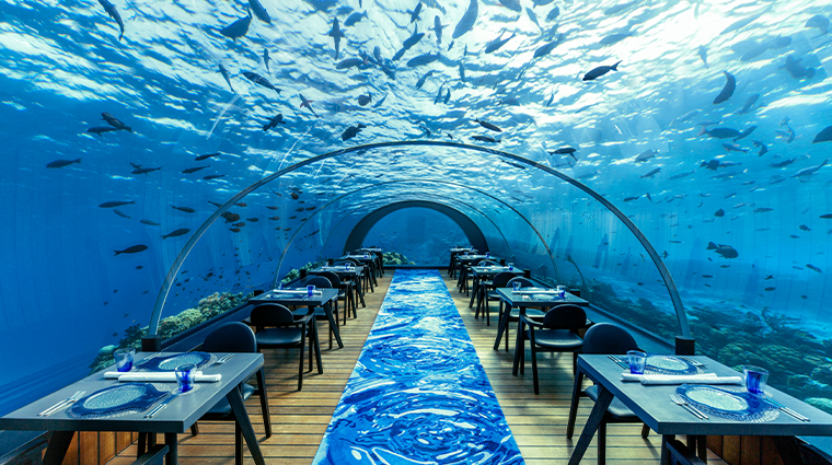 kudadoo maldives private island undersea restaurant