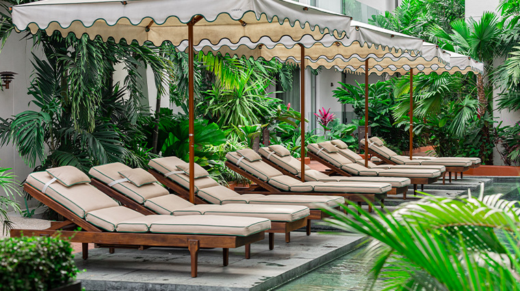 la maison palmier pool2