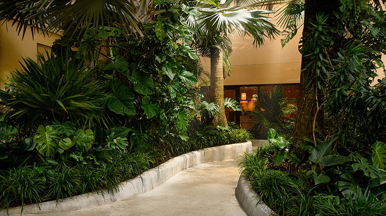 the ritz carlton spa grand cayman pathway