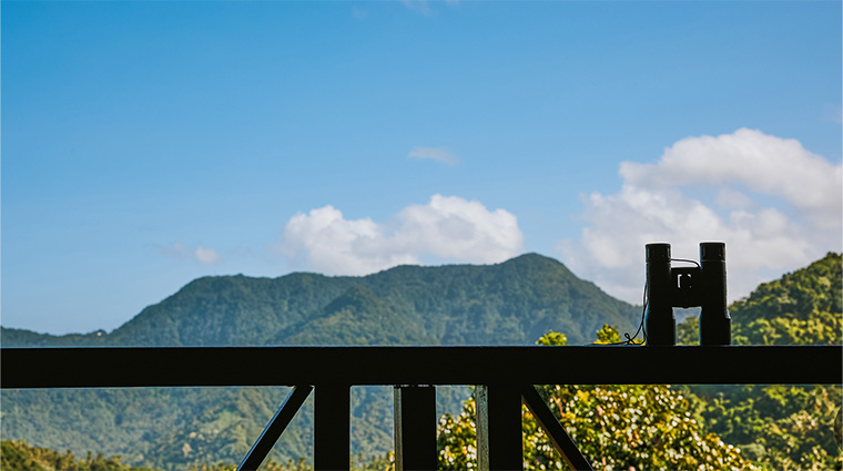 ladera resort saint lucia the suite at paradise ridge rainforest view