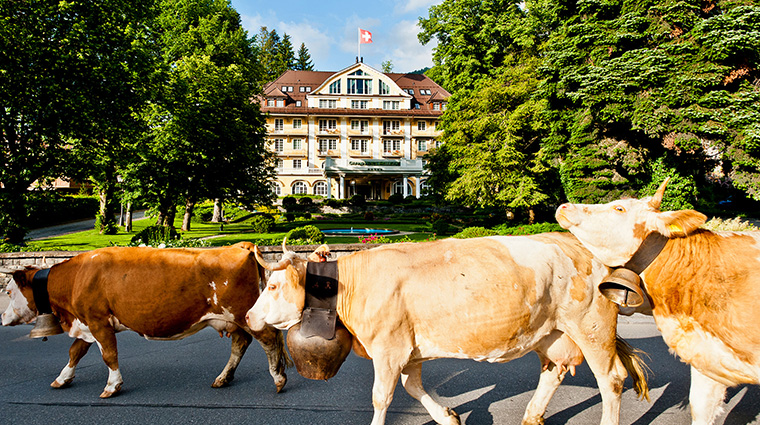 le grand bellevue summer