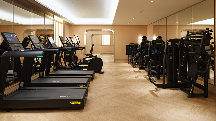 mandarin oriental vienna gym