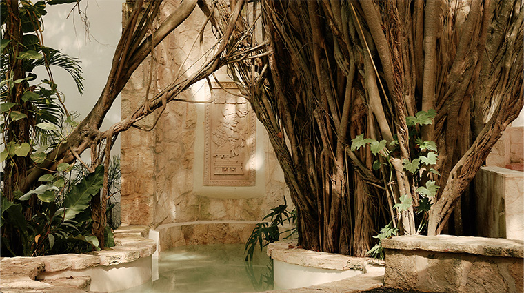 maroma spa by guerlain fountain and ancient tree