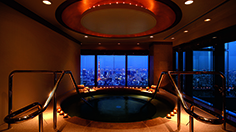 The Ritz-Carlton, Tokyo Spa & Fitness - Tokyo Spas - Tokyo, Japan ...