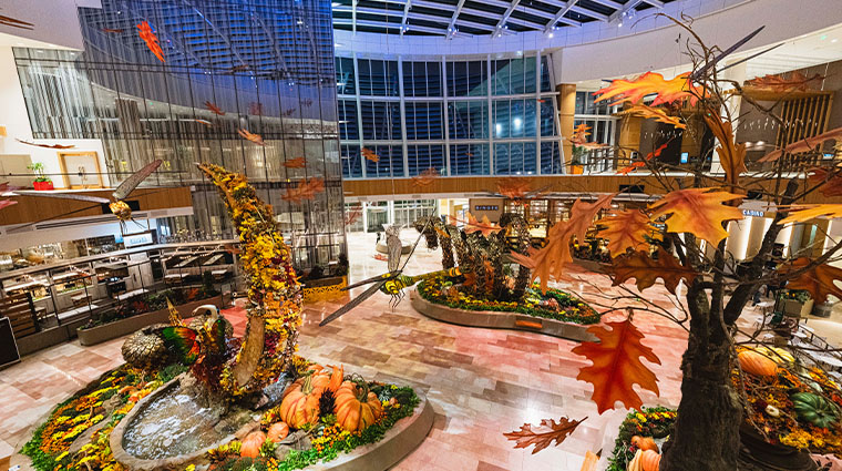 mgm national harbor fall conservatory2023