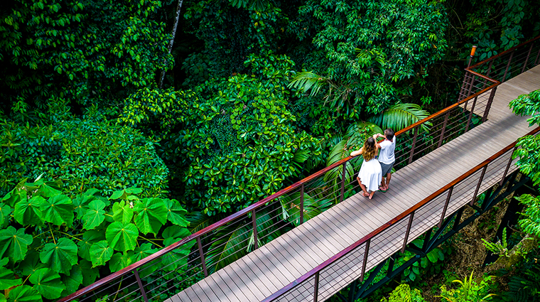 nayara hotel spa gardens rainforest bridge