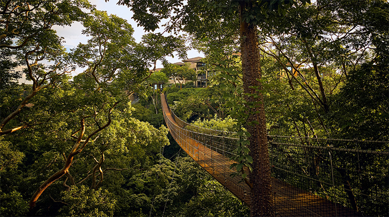 nekajui a ritz carlton reserve Hanging Bridge