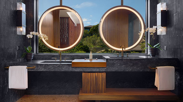 nekajui a ritz carlton reserve bathroom