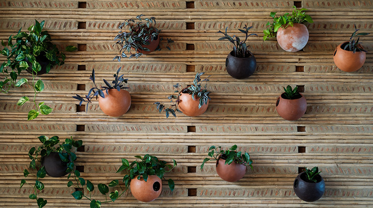 nimbu spa and wellness details