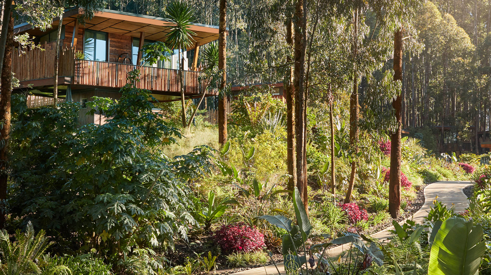 One&Only Gorilla's Nest - Rwanda Hotels - Ruhengeri, Rwanda - Forbes ...