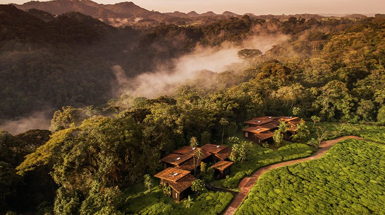 oneonly nyungwe house resort aerial